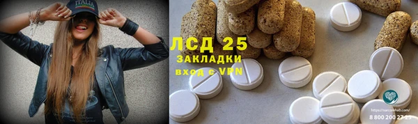 бошки Алексин