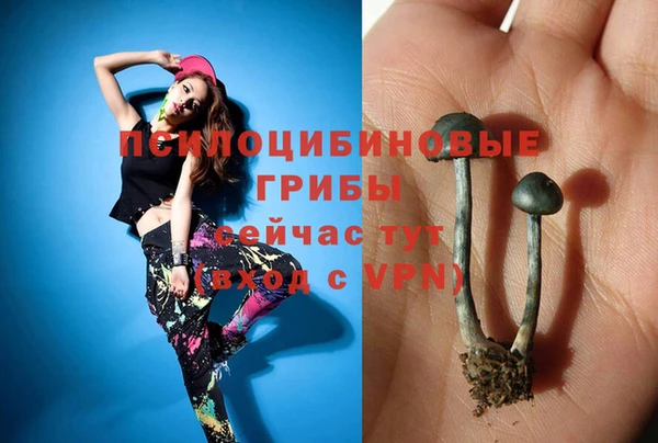 бошки Алексин