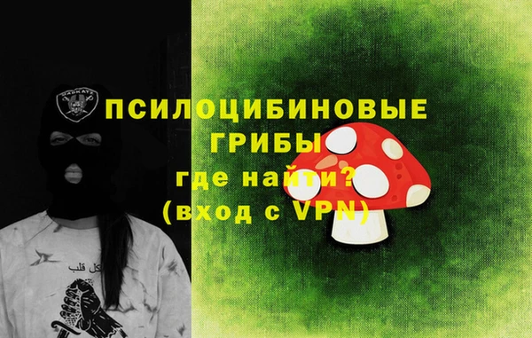 бошки Алексин